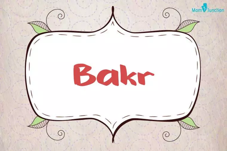 Bakr Stylish Wallpaper