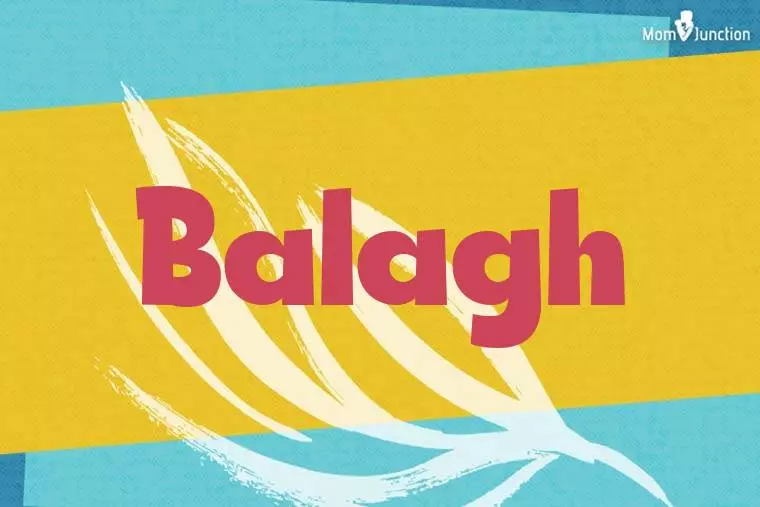 Balagh Stylish Wallpaper