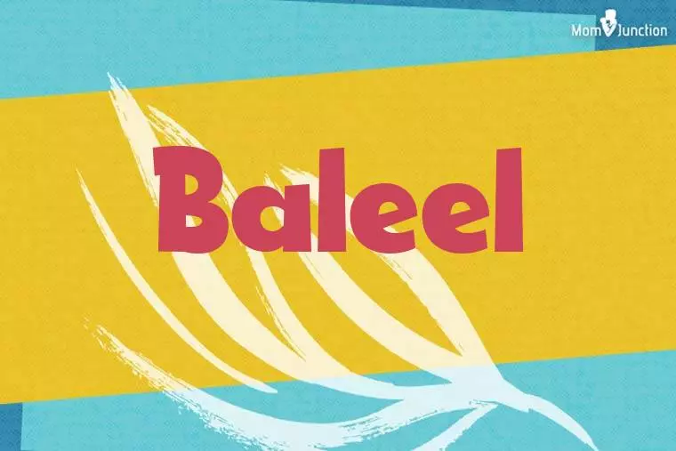 Baleel Stylish Wallpaper