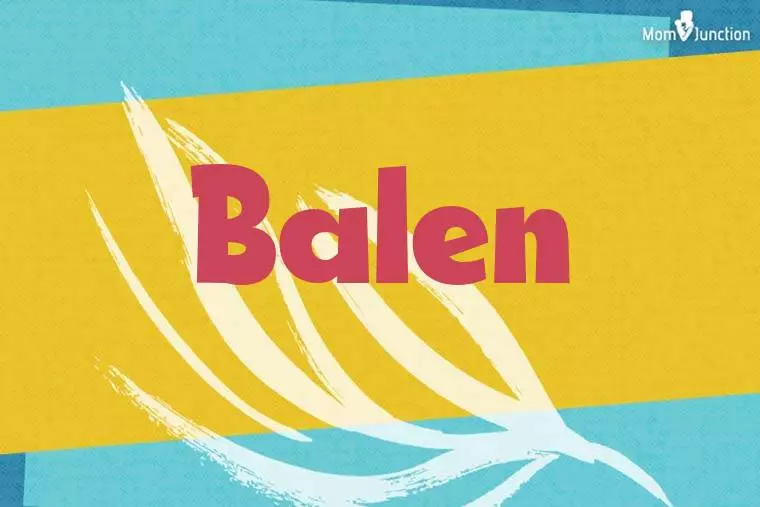 Balen Stylish Wallpaper