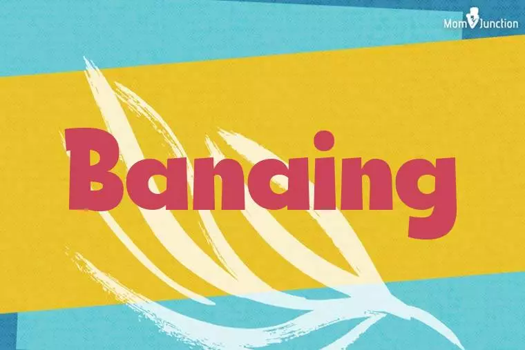 Banaing Stylish Wallpaper