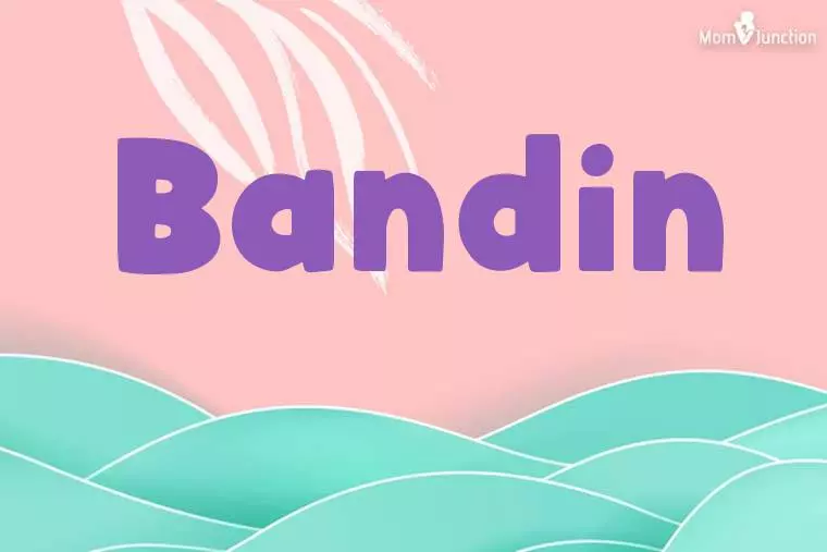 Bandin Stylish Wallpaper