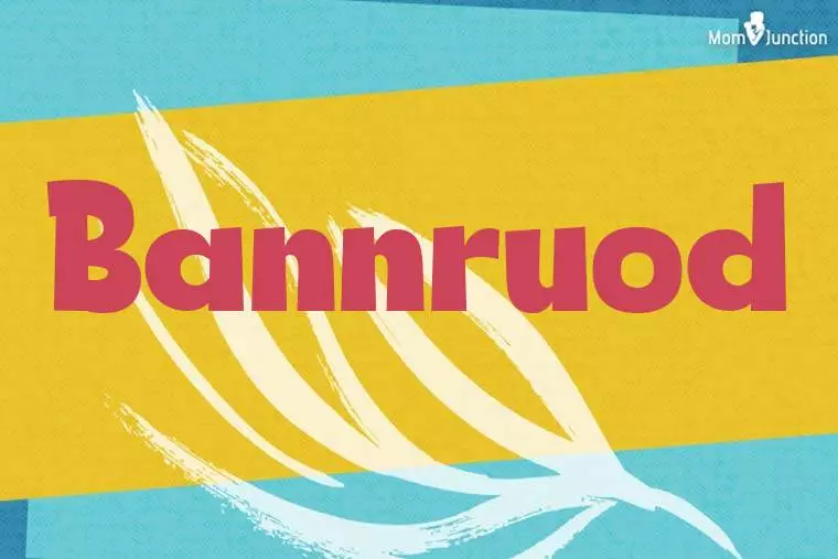 Bannruod Stylish Wallpaper