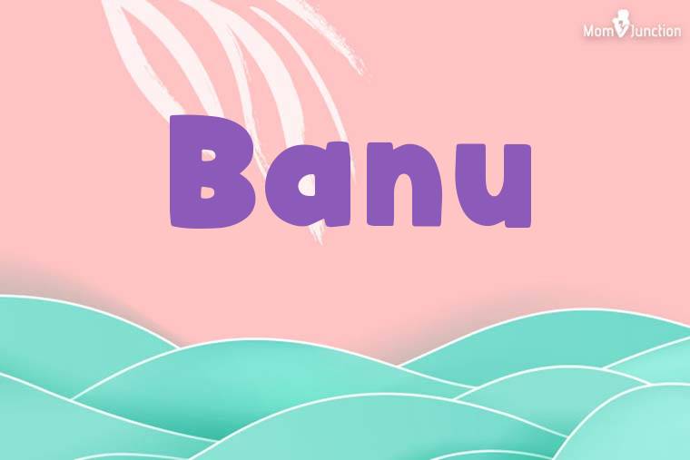 Banu Stylish Wallpaper