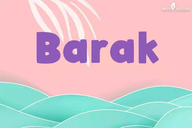 Barak Stylish Wallpaper