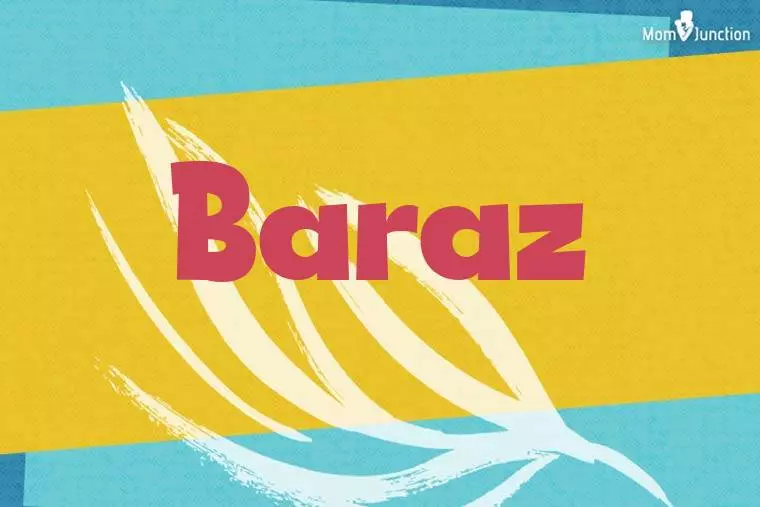 Baraz Stylish Wallpaper