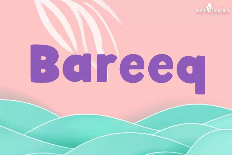 Bareeq Stylish Wallpaper