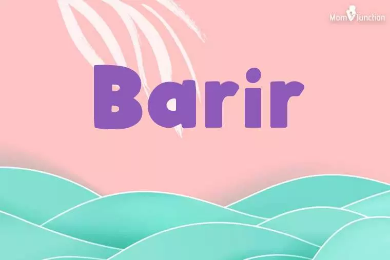 Barir Stylish Wallpaper