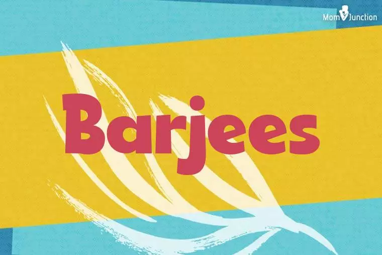 Barjees Stylish Wallpaper