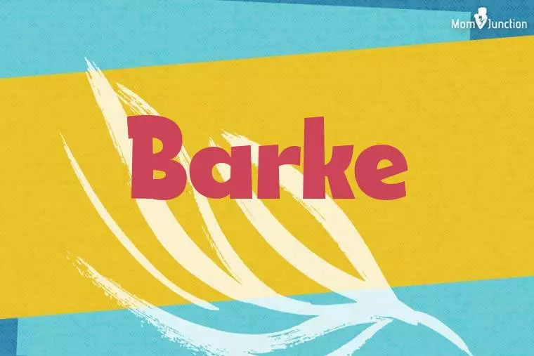 Barke Stylish Wallpaper