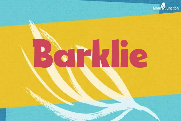 Barklie Stylish Wallpaper