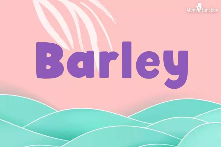 Barley Stylish Wallpaper