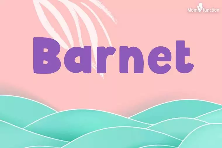 Barnet Stylish Wallpaper