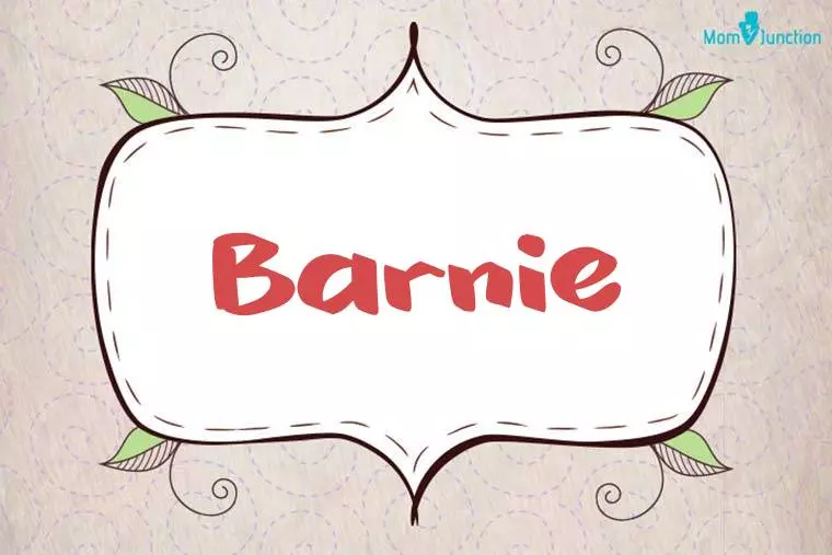 Barnie Stylish Wallpaper