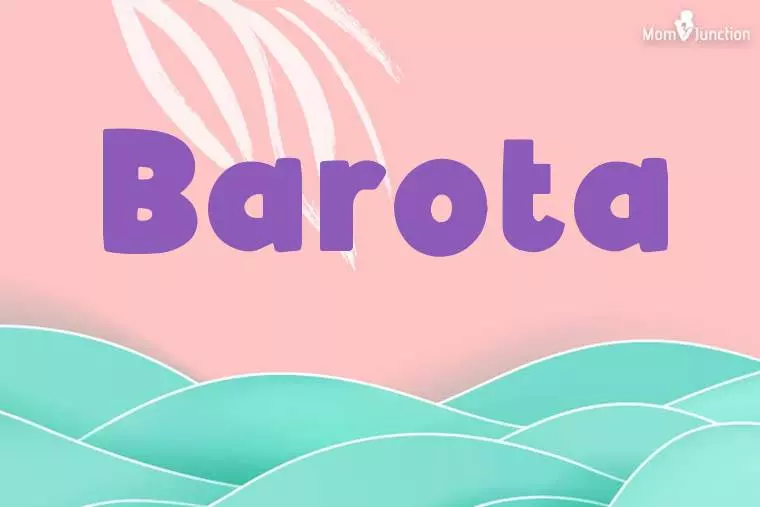 Barota Stylish Wallpaper