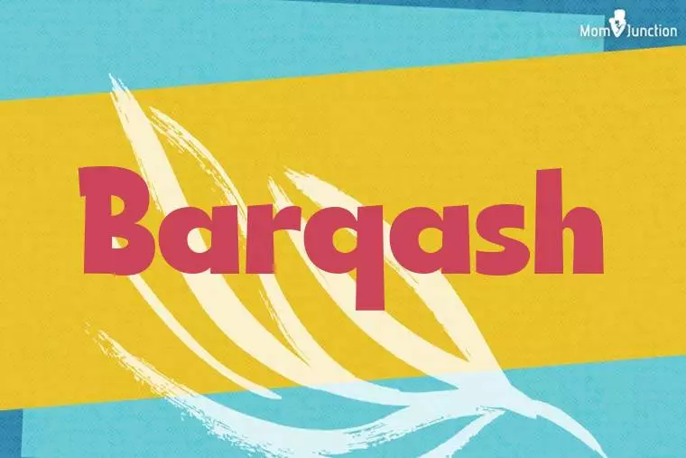 Barqash Stylish Wallpaper