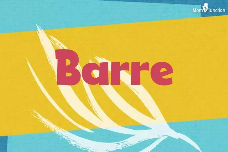 Barre Stylish Wallpaper