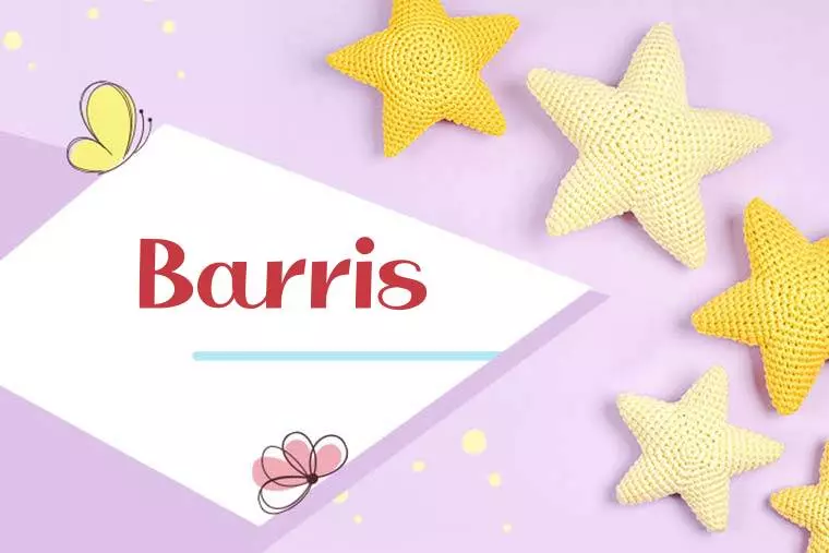 Barris Stylish Wallpaper