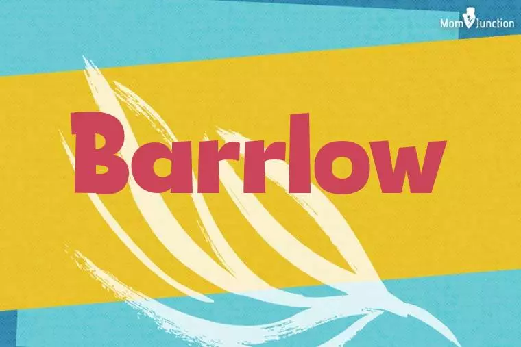 Barrlow Stylish Wallpaper