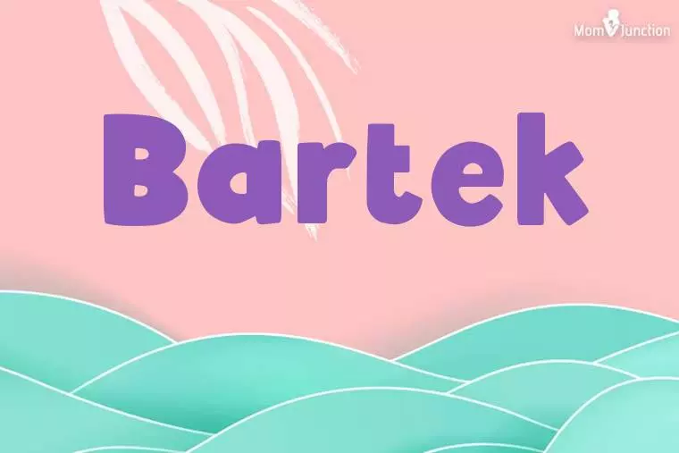 Bartek Stylish Wallpaper