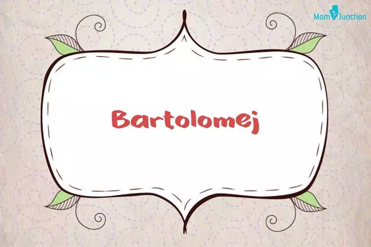 Bartolomej Stylish Wallpaper