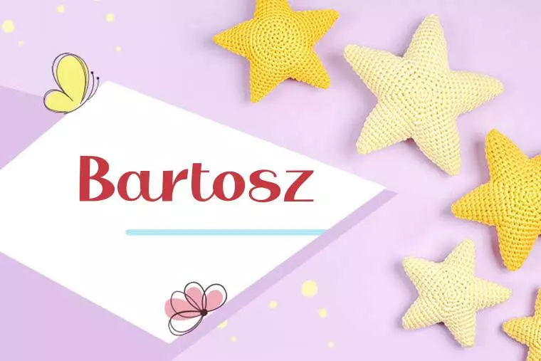 Bartosz Stylish Wallpaper