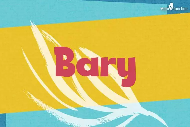 Bary Stylish Wallpaper