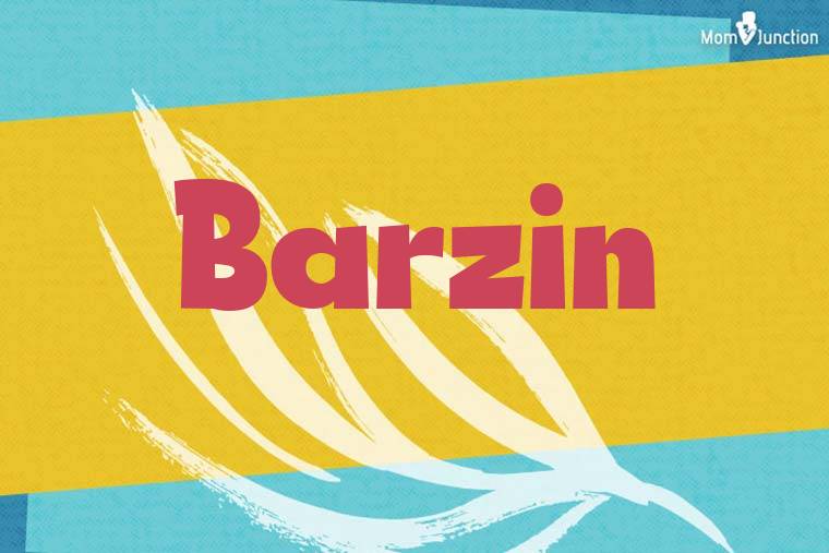 Barzin Stylish Wallpaper