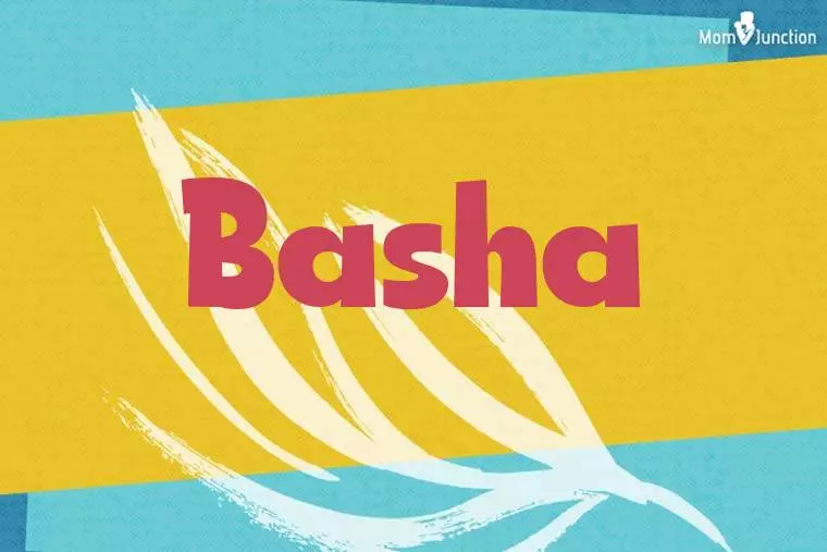 Basha Stylish Wallpaper