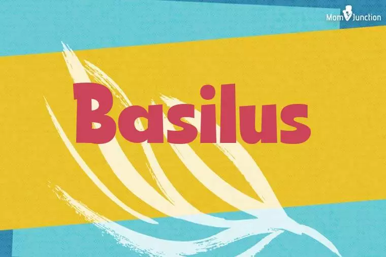 Basilus Stylish Wallpaper