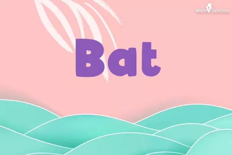 Bat Stylish Wallpaper