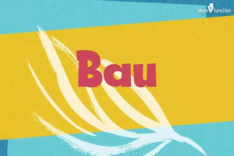 Bau Stylish Wallpaper