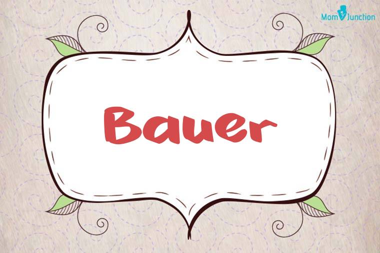 Bauer Stylish Wallpaper