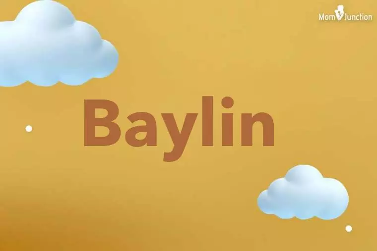 Baylin 3D Wallpaper