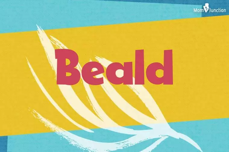 Beald Stylish Wallpaper