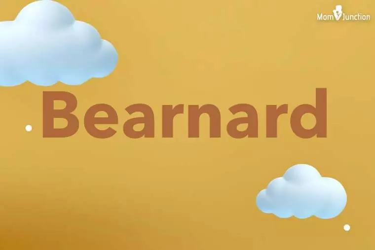 Bearnard 3D Wallpaper