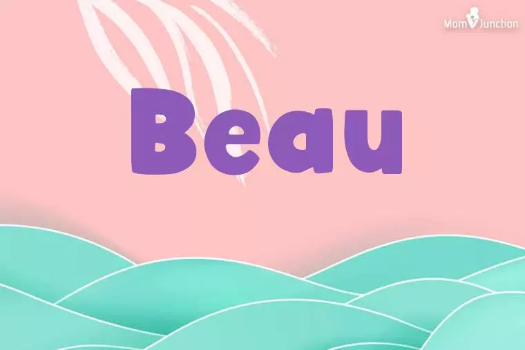 Beau Stylish Wallpaper