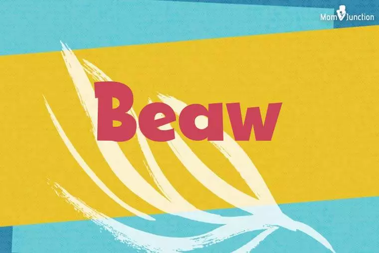 Beaw Stylish Wallpaper