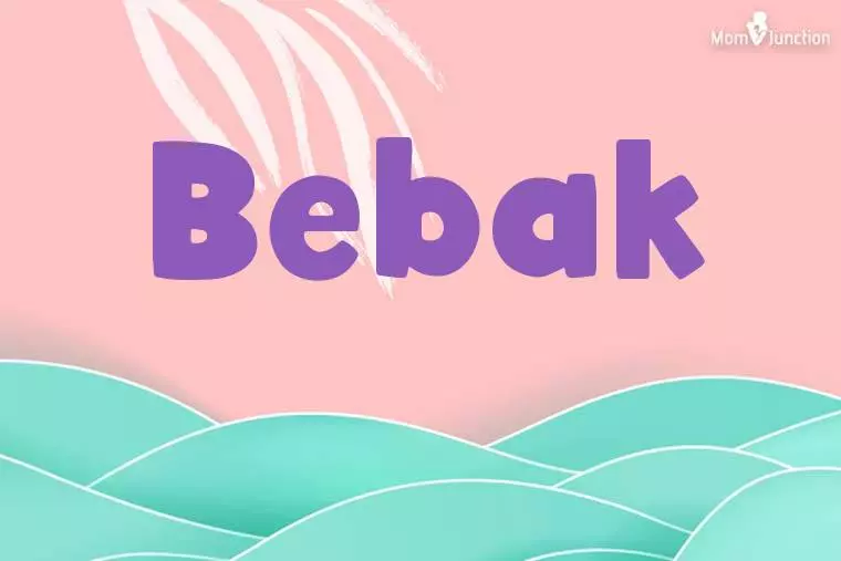 Bebak Stylish Wallpaper