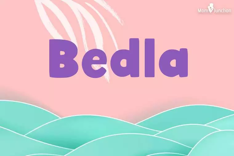 Bedla Stylish Wallpaper