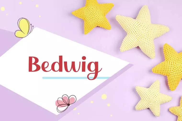 Bedwig Stylish Wallpaper