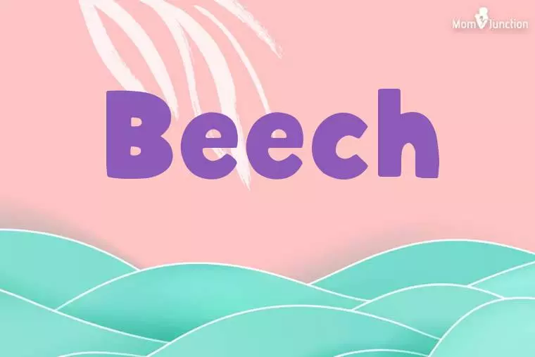 Beech Stylish Wallpaper