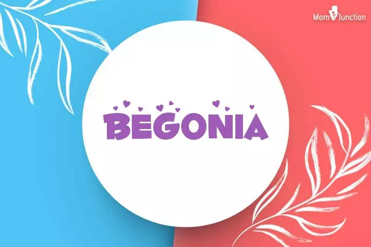 Begonia Stylish Wallpaper