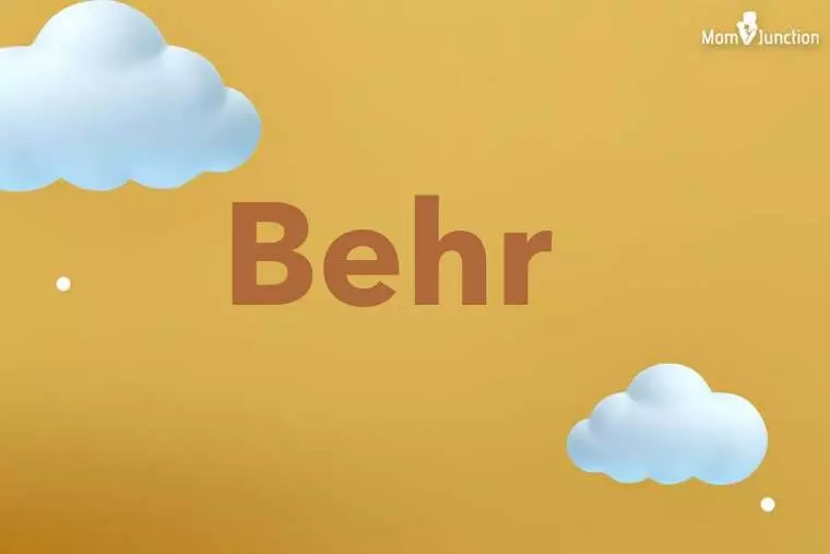 Behr 3D Wallpaper