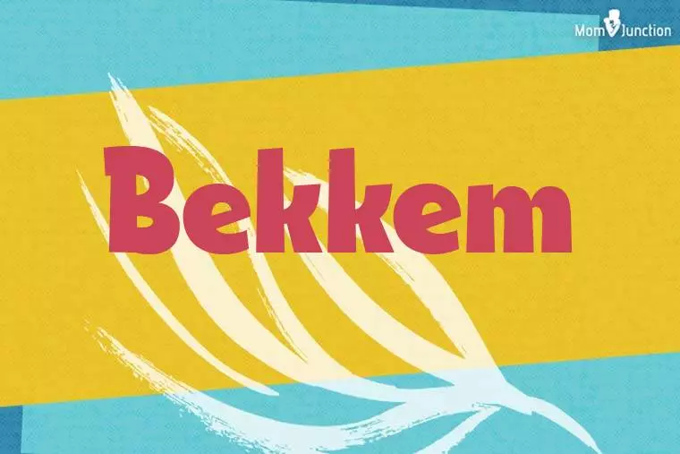 Bekkem Stylish Wallpaper