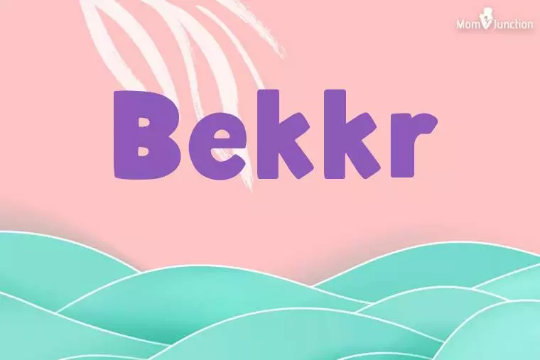 Bekkr Stylish Wallpaper