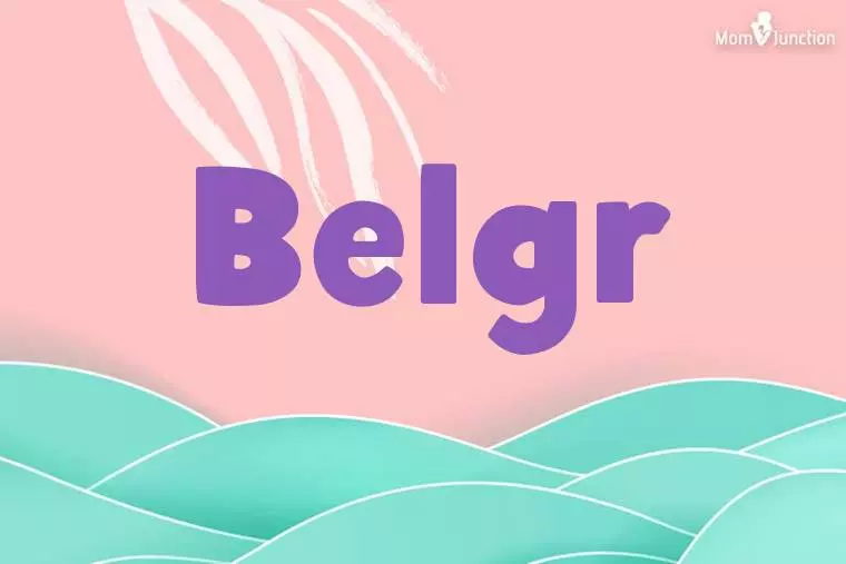 Belgr Stylish Wallpaper