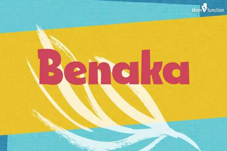 Benaka Stylish Wallpaper