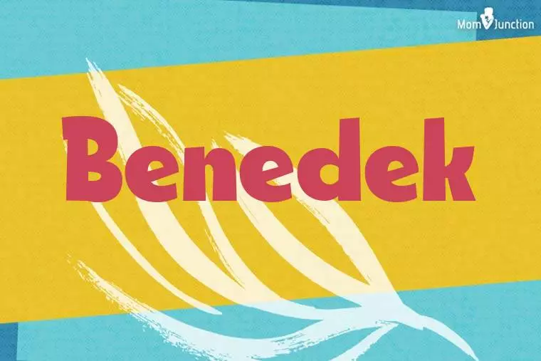 Benedek Stylish Wallpaper