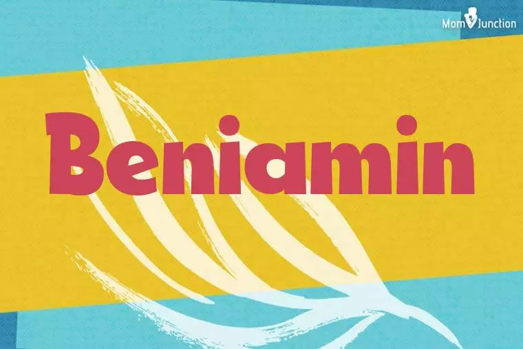 Beniamin Stylish Wallpaper